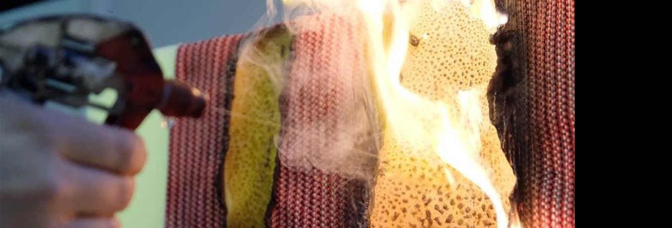 Assaig de reacció al foc