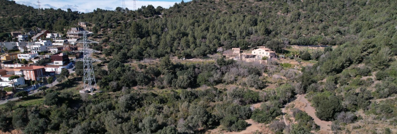 La Fundació Catalunya La Pedrera i L’Olivera s’alien per recuperar el mosaic agroforestal a Collserola