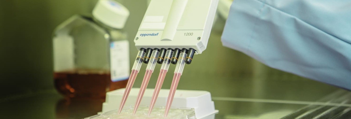 Solución patentada por ReadyCell en placas transwell - LEITAT