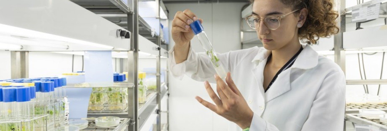 La Fundació Catalunya La Pedrera abre las puertas de la investigación líder a 374 jóvenes con talento científico