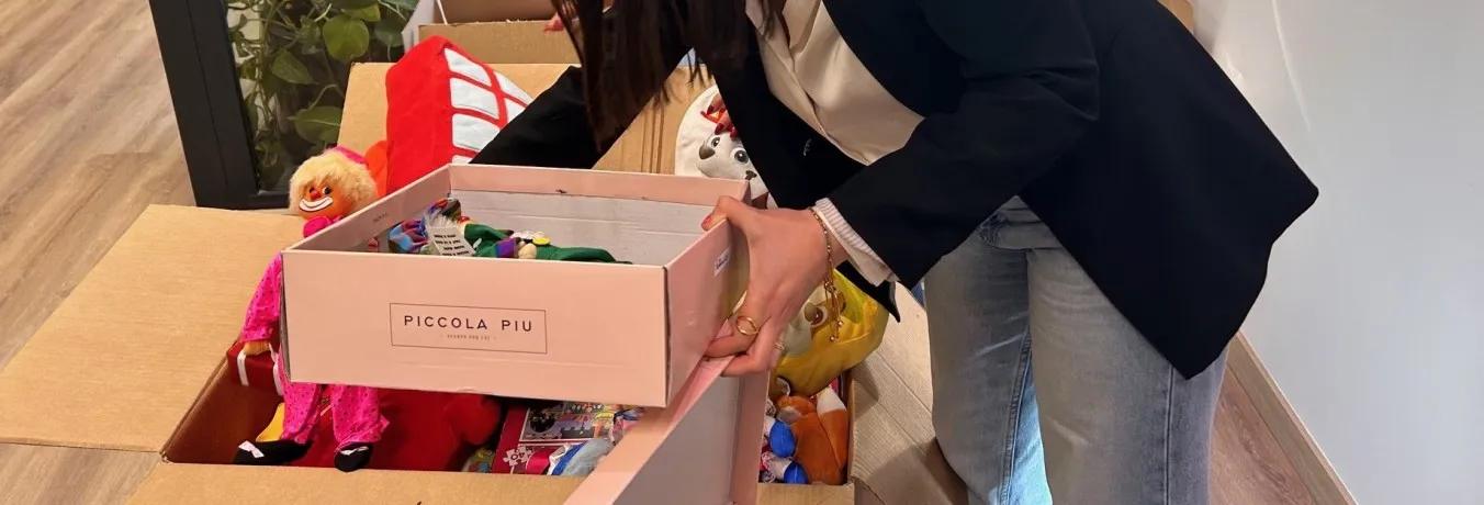 Imatgedundelsdiesdelarecollida